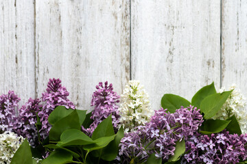 The beautiful lilac on a wooden background. Purple and white flowers. Place for inscription