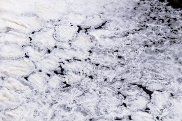 Flowers from frozen foam in the river