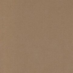 Cardboard Texture