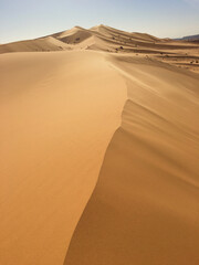 Fototapeta na wymiar Sand edges on desert sand of North Africa Bechar Algeria, sandy Taghit desert