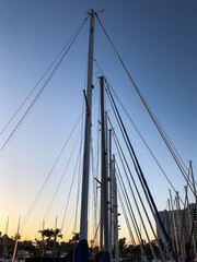 Sailboat masts against sunset
