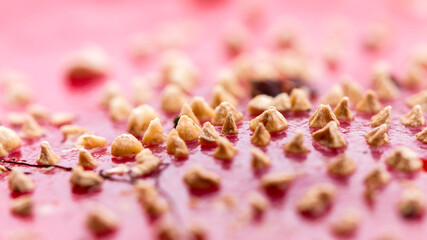 Ungewöhnliche Perspektive auf den Hut eines Fliegenpilzes