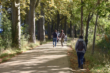 Obraz premium Promenade au bord du canal du Midi Toulouse
