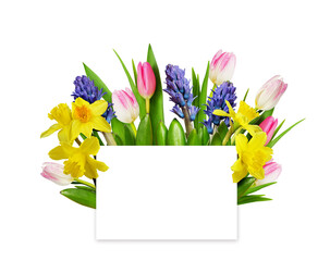 Empty card and spring flowers isolated on white