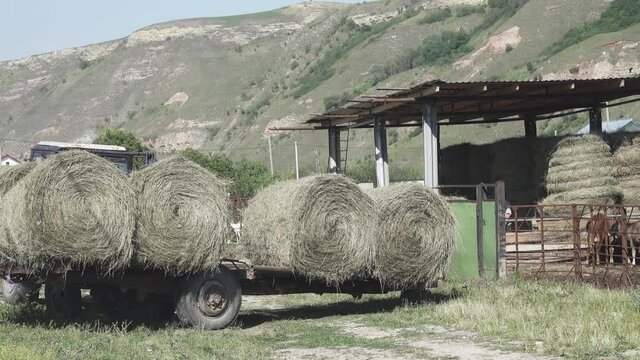 Hayloft, loft area. Harvesting hay for livestock in mountain haymaking conditions
