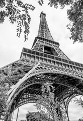 Paris' biggest attraction. Eiffel Tower