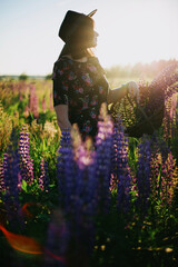 Beautiful stylish woman gathering lupine in wicker rustic basket in sunny field, tranquil moment