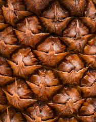 Fototapeta premium Pineapple skin texture