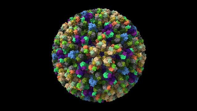 Atomic model for bluetongue virus (BTV) core, animated 3D Gaussian surface model isolated, black background