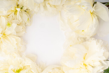 frame of gentle peony background