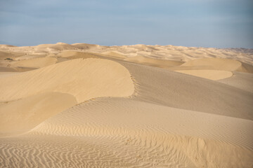 Fototapeta na wymiar A high quality horizontal background of a desert with sand dunes and a blue sky. 