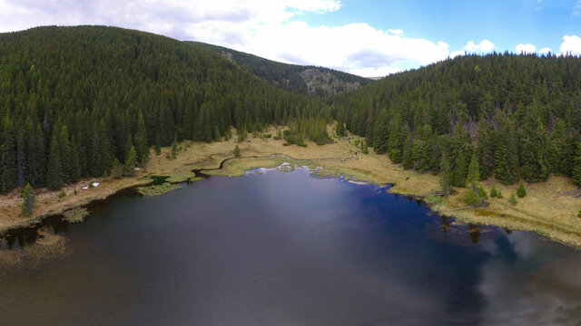 Aerial drone panorama of Iezerul Latoritei glacial lake and the spring flowing in it through the wild spruce forests of Capatanii Mountains. Carpathia, Romania.