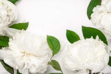 gentle floral frame of white peony