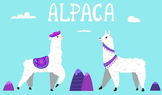 Cute Lamas with mountains and cactus in vector.