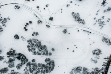 Aerial view of forest river in winter day
