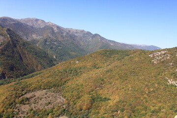 Fototapeta na wymiar Caspian Hyrcanian mixed forests