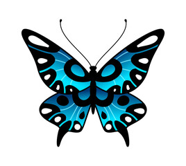 Obraz na płótnie Canvas Butterfly. Colorful stylized summer flying insect, bright desigd in black and blue colors, minimalistic macro ornamental element, simple single flat cartoon vector isolated illustration