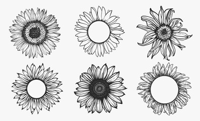 Sketch of sunflower set. Hand drawn outline. Vector illustration.