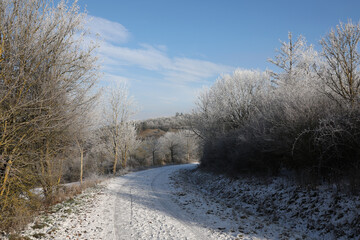 Obraz na płótnie Canvas Winter landscape with snowy fields and blue sky