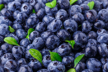 Fresh blueberry background. Blueberry Texture Close Blueberry Antioxidant Organic Superpeed Bowl Concept Healthy Nutrition