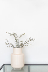 A vase with eucalyptus on a white background.