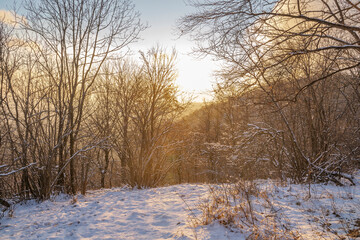 Sundown in the woods in winter. The sun is going down behind a mountain in the background. 