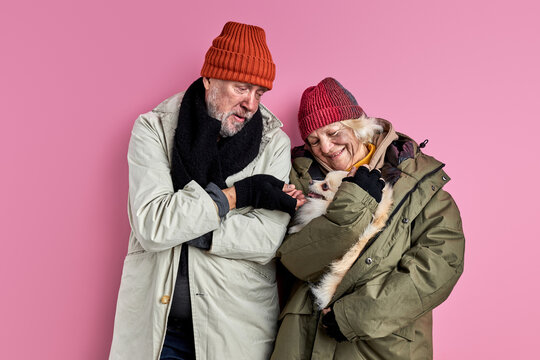 Homeless People With Pet Dog In Hands, Playing With Dog, Need Shelter. Isolated Pink Background