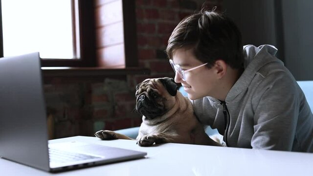 Attractive young man sitting on sofa at home using internet on laptop. Teen talks with his friend on online video call and stroking his lovely dog of the pug breed. 