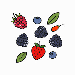 Berry blend logo. Raspberry, blueberry and goji