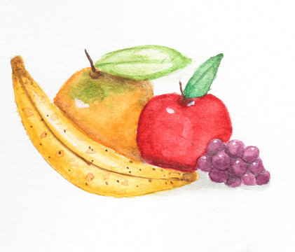 Watercolour fruits