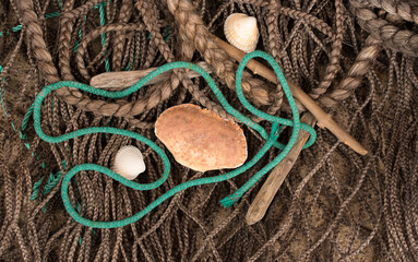 Sea fishing rope and a crab shell washed up