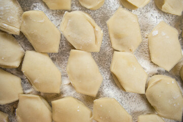 Handmade dumplings are beautifully arranged in rows on a cutting board and sprinkled with flour. Close-up, macro.