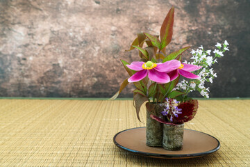 和風に活けたシュウメイギクとミントの花 © cat_smile