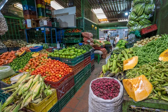 Marché aux fruits et légumes de Paloquemao, Bogota, Colombie