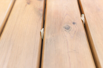 Dry leaves on a wooden surface