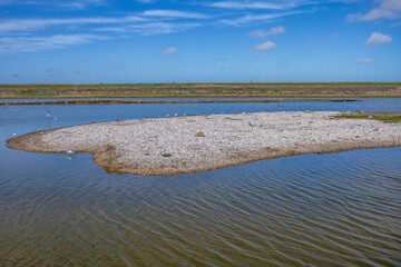 Vogelbrutgebiet Wagejot, Insel Texel, Niederlande