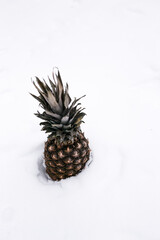 Pineapple in the snow. Sweet tropical fruit.