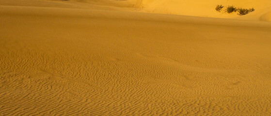  Golden sands in the vast desert of Algeria, a very beautiful and relaxing landscape