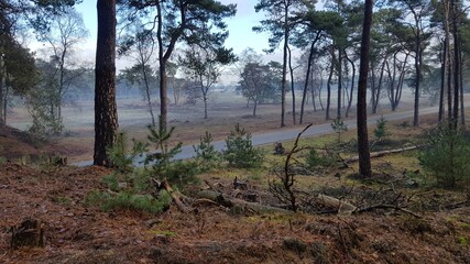 De Hoge Veluwe - National Park views
