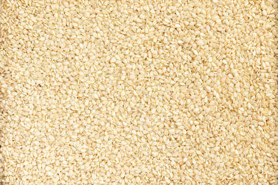 Closeup of lots of white sesame seeds.