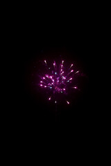 Festive firework in the night sky.