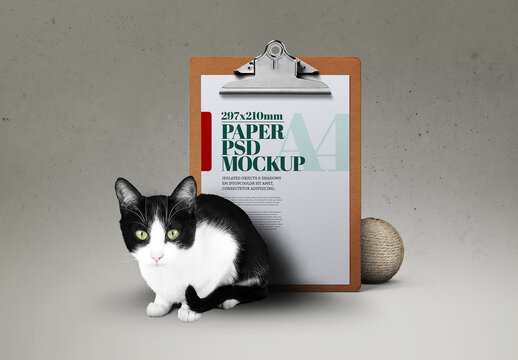 Clipboard and Tablet Mockup with Cat