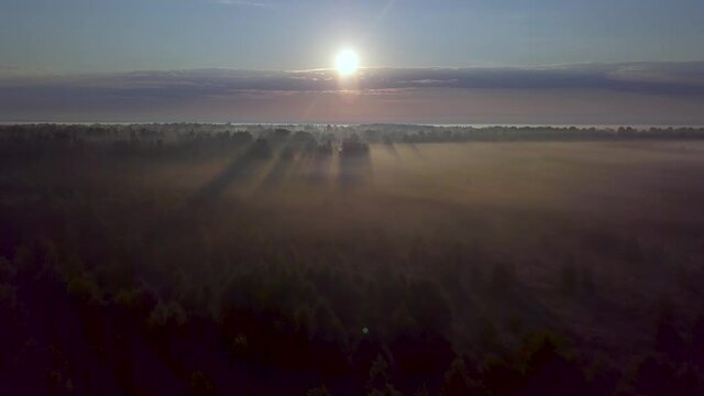 Flight over the foggy forest. Drone. 4K