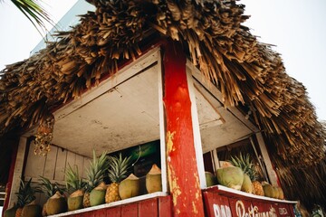 tropical fruits: pineapple and coconuts in a tropical shop