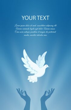 White dove flying against the blue sky. Hands are raised up and dove soaring in the rays of light. Dove is Christian religious symbol, symbol of peace and love. Vertical banner. Vector illustration