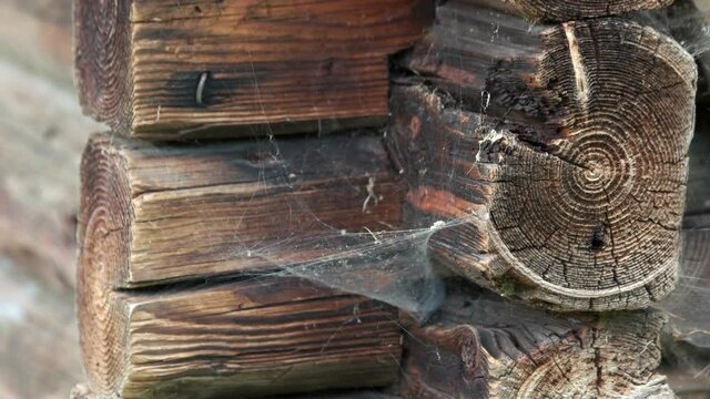 Vintage balk wall with cobweb. A background with horizontal round aged baulks.