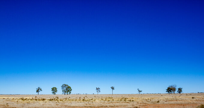Outback Queensland landscape with blue sky and some trees with dry land. Taken near Blackall, Queensland Australia.