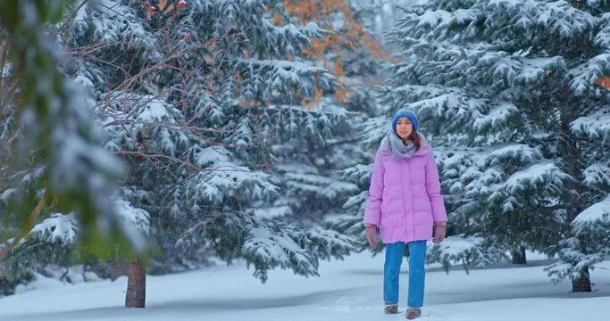 Beautiful winter landscape, spruce branch in the snow, close-up. Young beautiful woman walks in a snow-covered hat and mittens through the winter forest, snowfall. 4k, ProRes
