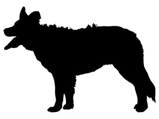 立っている犬の横顔シルエット_3