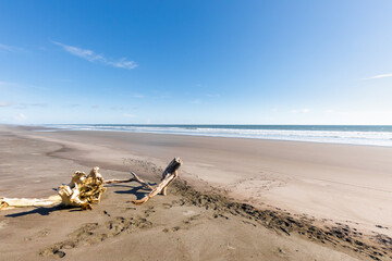 Fototapeta na wymiar Panama Barqueta beach, logs on the shoreline